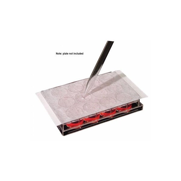 Excel Scientific AeraSeal Sealing Film for Culture Plates, Sterile, 50/pk, 50PK 202505 - main